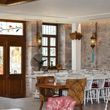 Orchis 호텔 Ayvalı