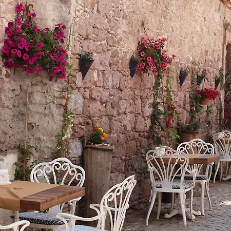 Hotel Orchis Ayvalı