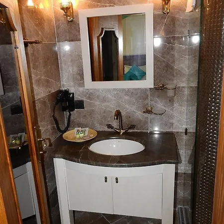 Otel Orchis *